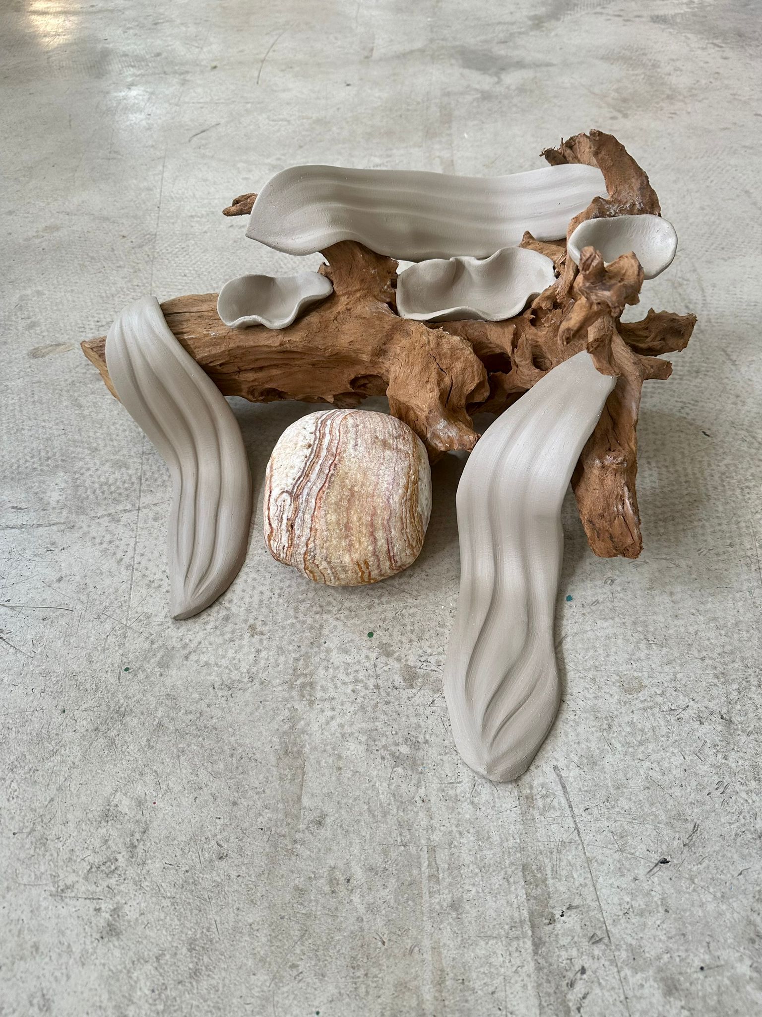 Diana Vasilescu - Diana Vasilescu