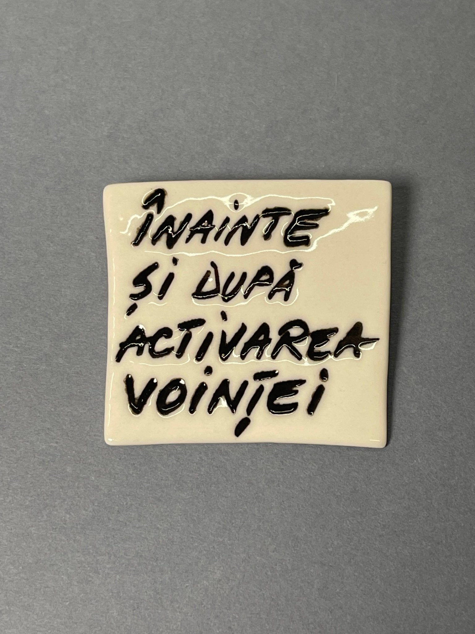 Broșă porțelan "Înainte și după activarea voinței" - Diana Vasilescu - Accesorii Bijuterie