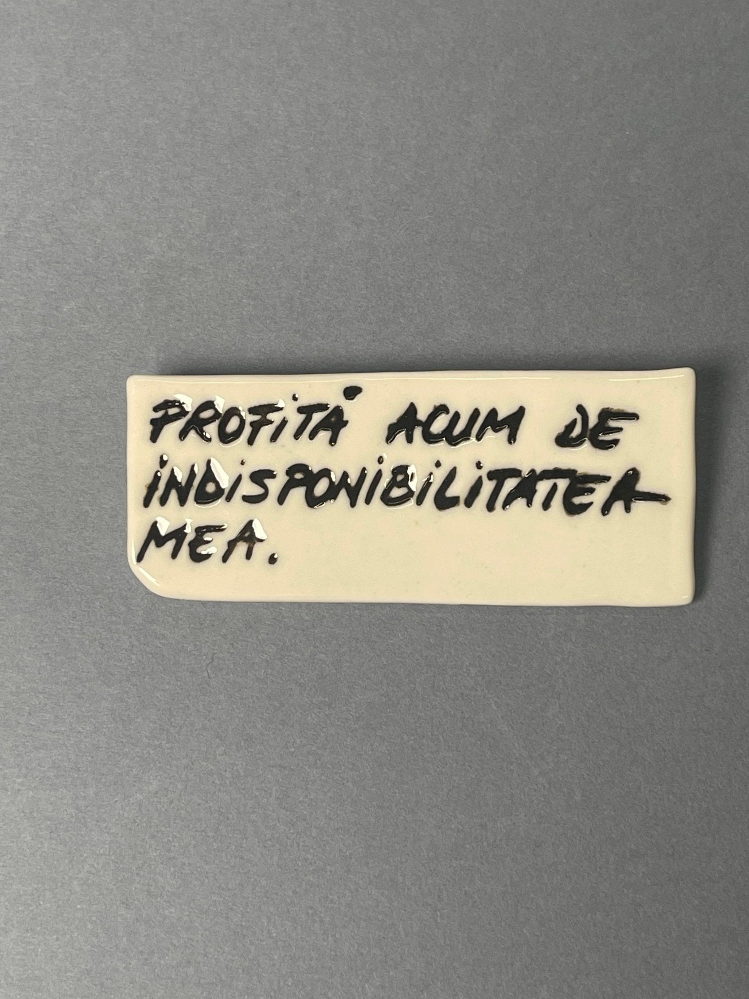 Broșă porțelan "Profită acum de indisponibilitatea mea" - Diana Vasilescu - Accesorii Bijuterie