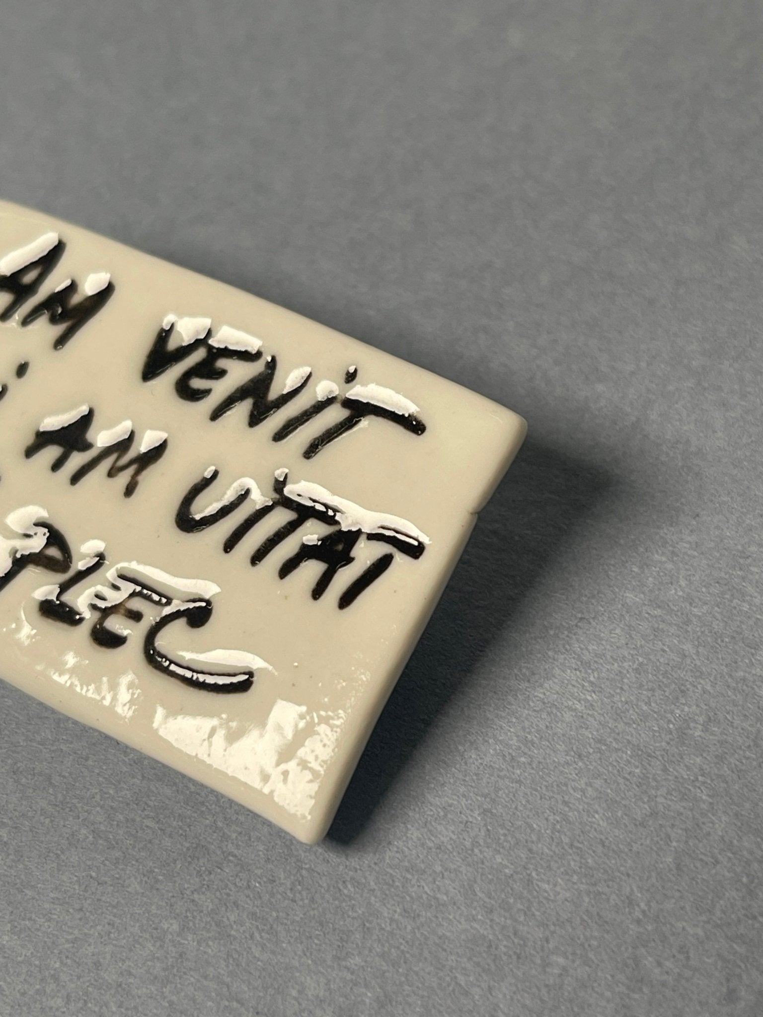 Broșă porțelan "Am venit și am uitat să plec" - Diana Vasilescu - Accesorii Bijuterie