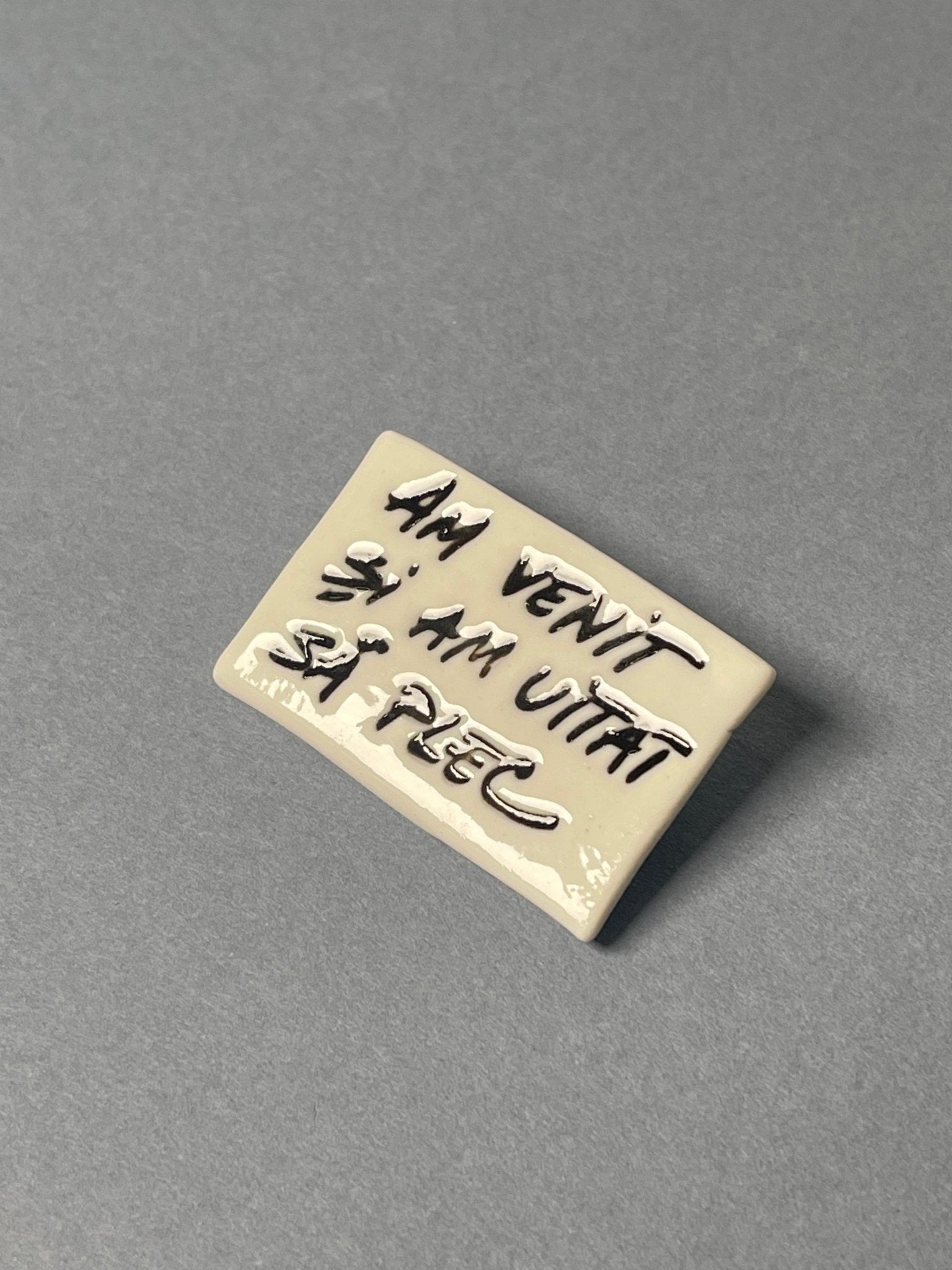 Broșă porțelan "Am venit și am uitat să plec" - Diana Vasilescu - Accesorii Bijuterie