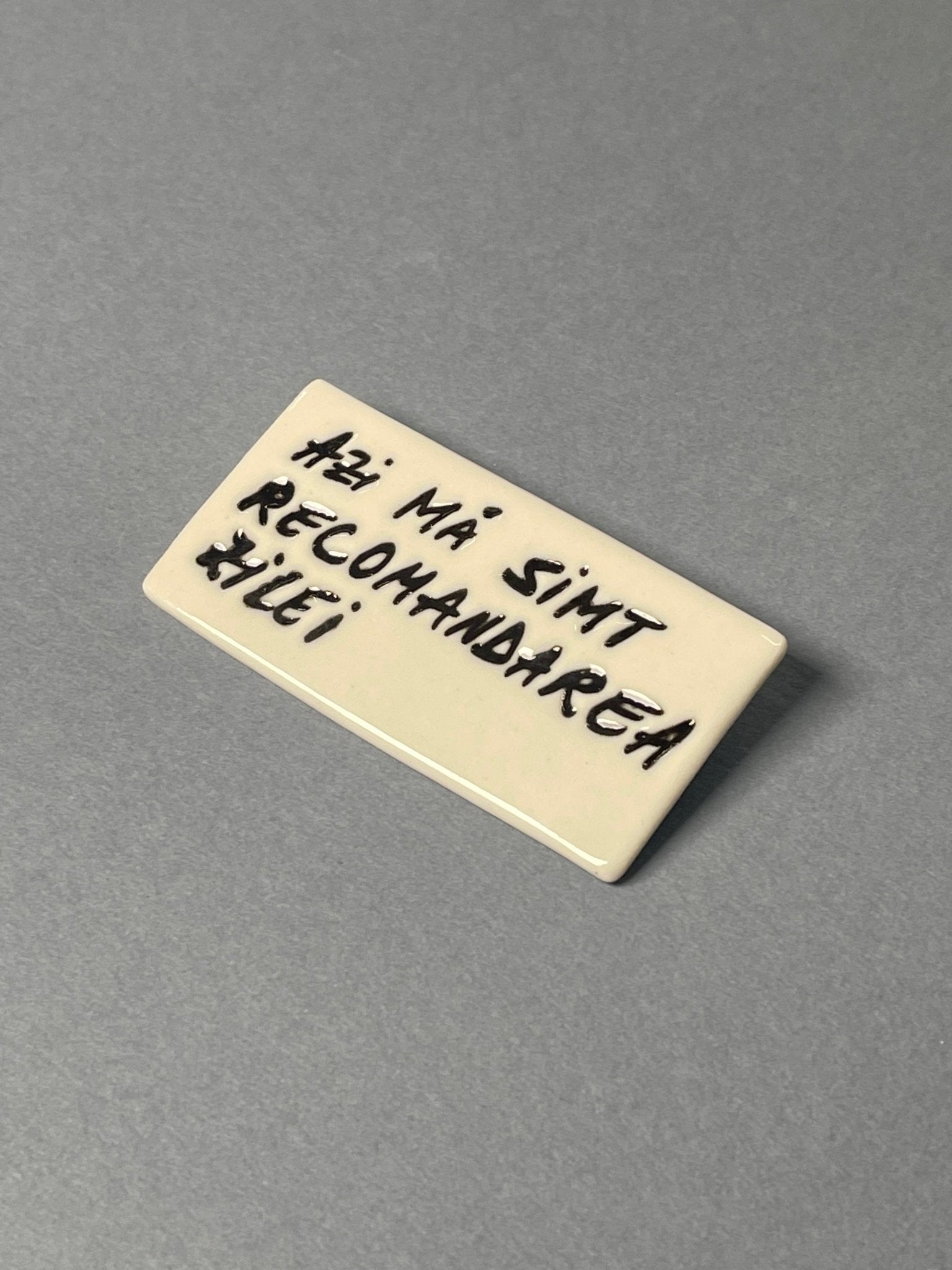 Broșă porțelan "Azi mă simt recomandarea zilei" - Diana Vasilescu - Accesorii Bijuterie