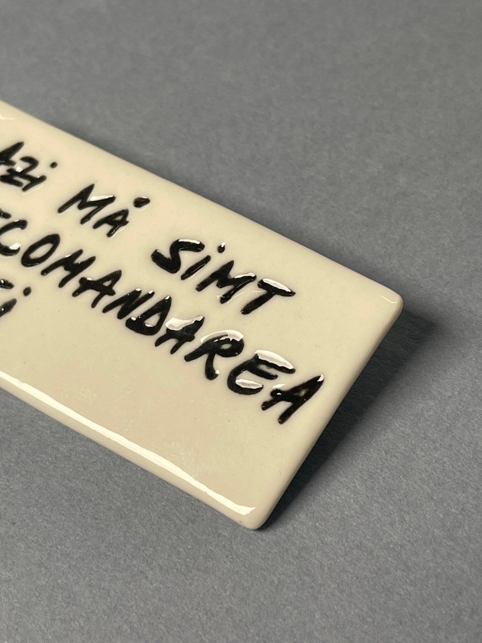 Broșă porțelan "Azi mă simt recomandarea zilei" - Diana Vasilescu - Accesorii Bijuterie