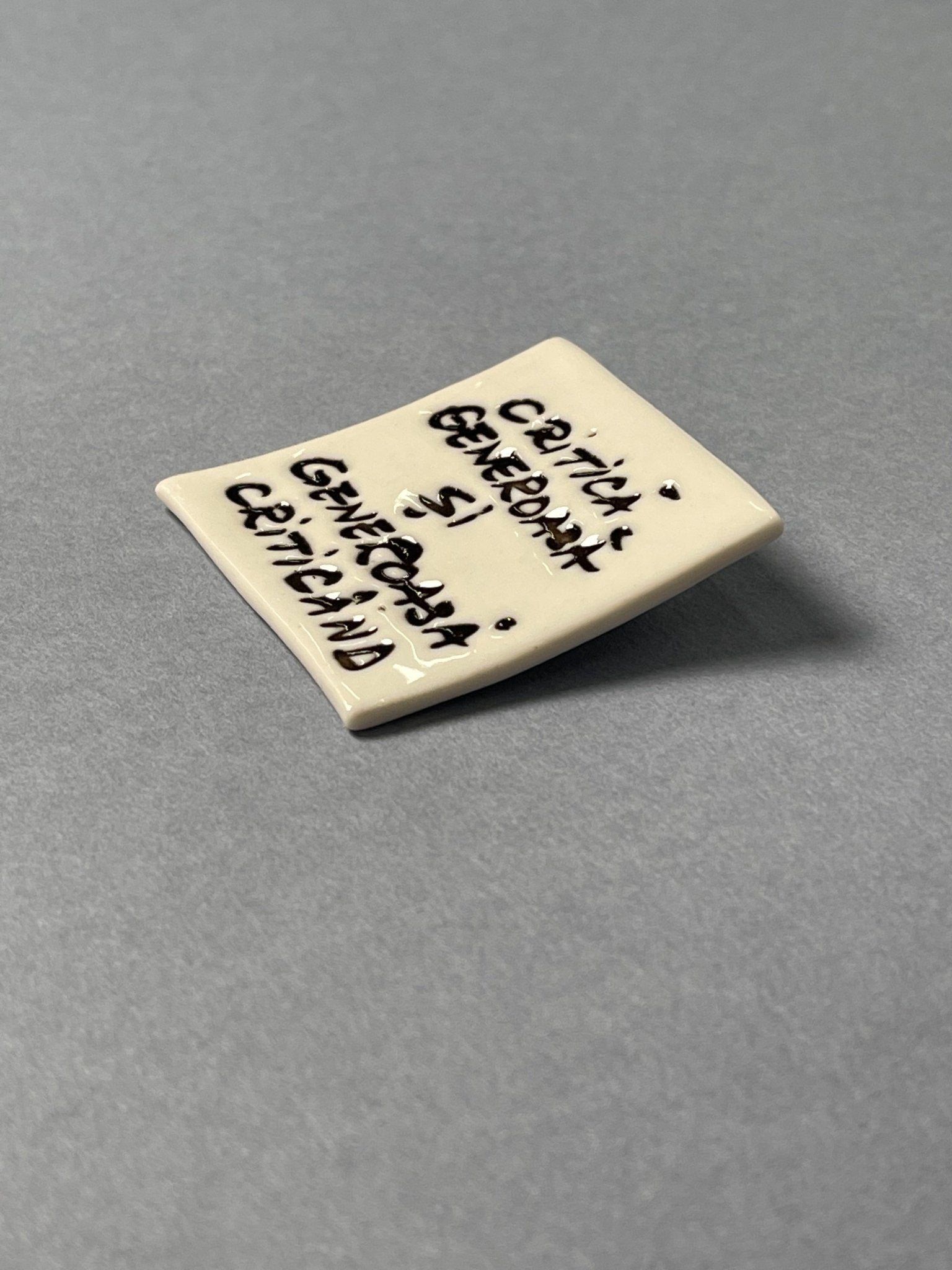 Broșă porțelan "Critică generoasă și generoasă criticând" - Diana Vasilescu - Accesorii Bijuterie