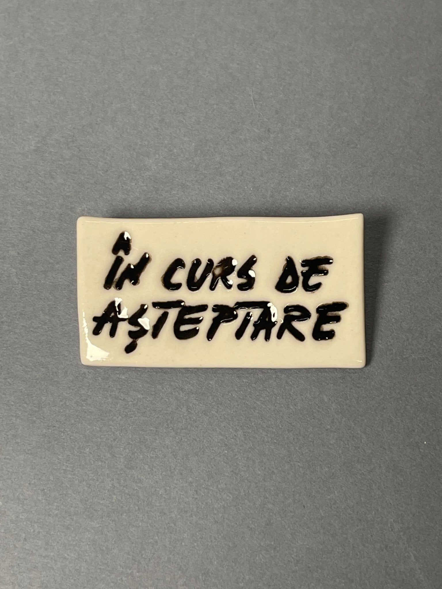 Broșă porțelan "În curs de așteptare" - Diana Vasilescu - Accesorii Bijuterie