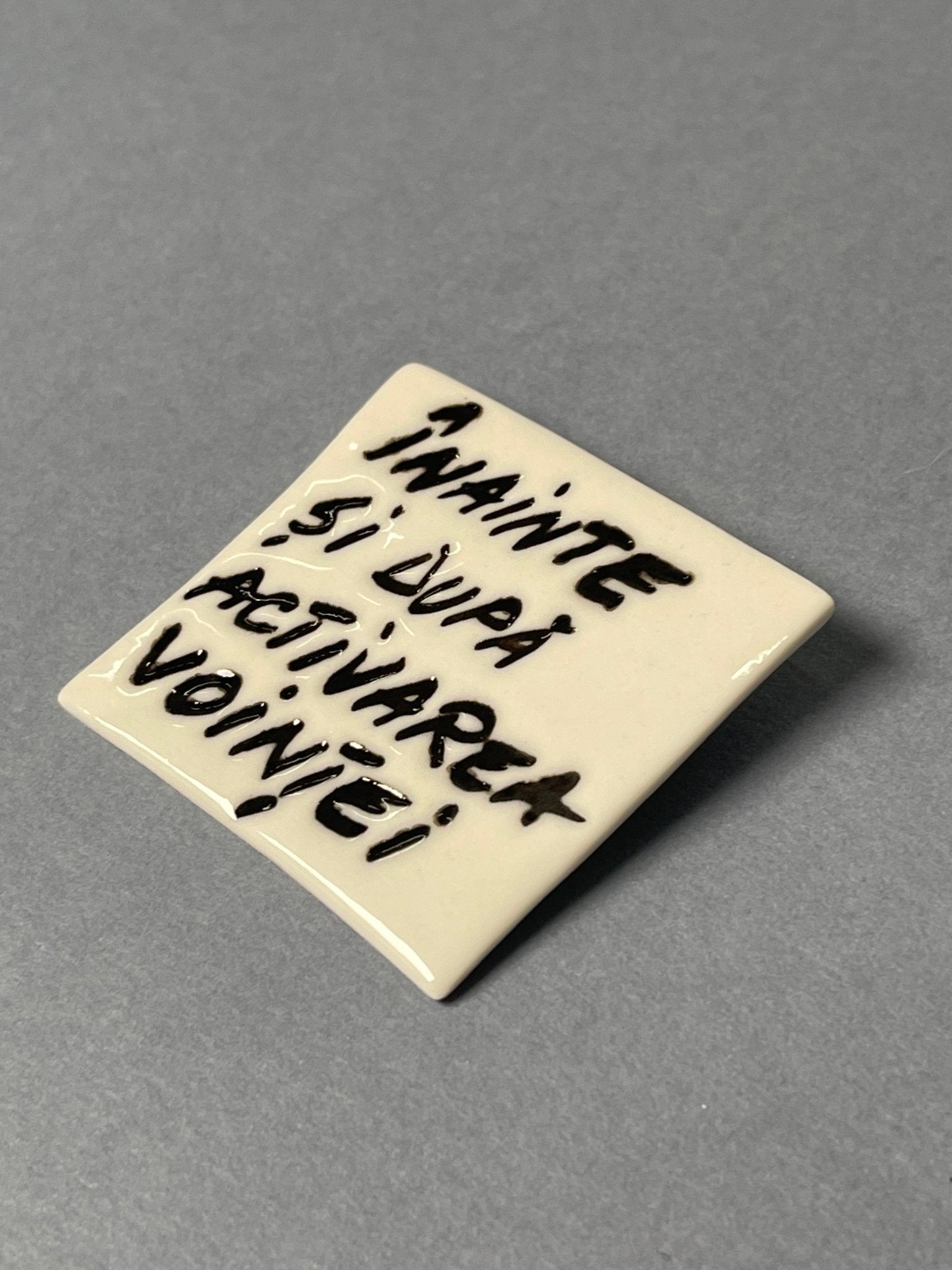 Broșă porțelan "Înainte și după activarea voinței" - Diana Vasilescu - Accesorii Bijuterie