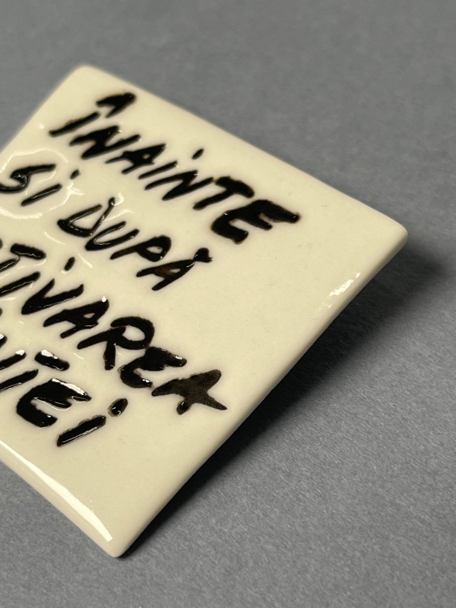 Broșă porțelan "Înainte și după activarea voinței" - Diana Vasilescu - Accesorii Bijuterie